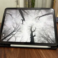 آیپد پرو ۲۰۲۲ یازده اینچ ۲۵۶ گیگ ipad pro