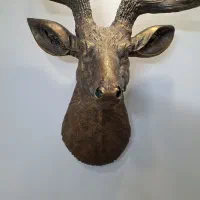 گوزن‌