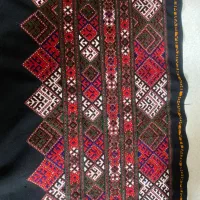 زی استین