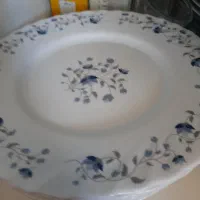 بشقاب پلو خوری