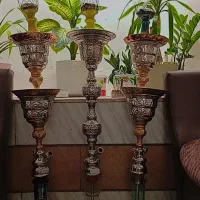 قیلیون عربی،بلند تنه برنجی