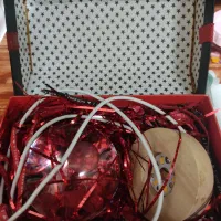 گوی آدم فضایی