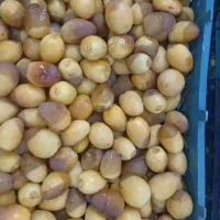 خرید و فروش رطب و خرما