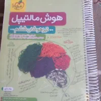 هوش مالتیپل