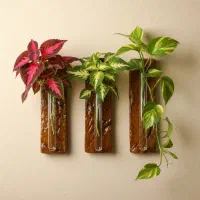 گلدان دیواری/گلجای دیوارکوب /جای گل دیواری