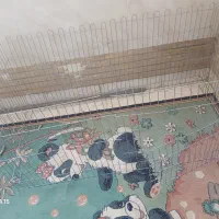 پارک سگ ظرف غذا شامپو تشک به فروش می‌رسد