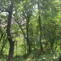 ۲۰۰متر باغچه