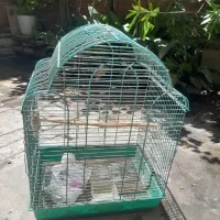 قفس پرنده