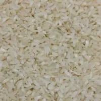 برنج محلی درجه یک بشرط پخت