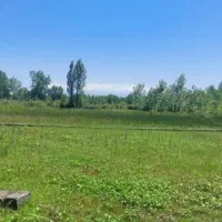 زمین باغی ۱۵۶ متر بر آسفالت با قیمت باورنکردنی