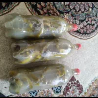خیار شور محلی ترد وخوشمزه