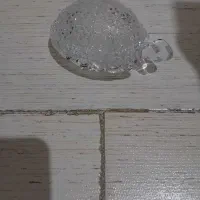 لاک پشت