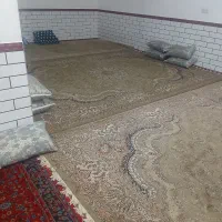 همخونه میخام خانه دارم