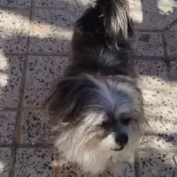 ماده شناسنامه دار ریزه و بانمک
