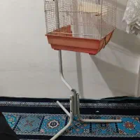 پایه دار