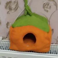 لانه پرنده ، مخفیگاه پرنده