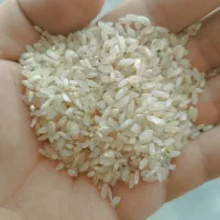 برنج کامفیروزی درجه یک ب شرط پخت درب کارخونه