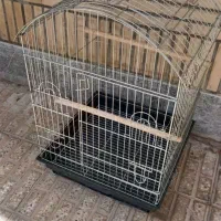 قفس بزرگ