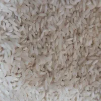 برنج چمپا درجه یک