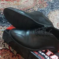 کفش مجلسی
