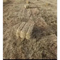 پرس جو و یونجه