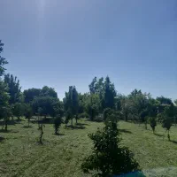 ۶۰۰متر قابل ساخت کلبه سوئیسی متانکلاواسکس‌ شیرگاه