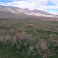 زمین باغ در جاده سلماس