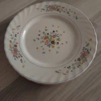 ۶ عدد پلوخوری لومینارک فرانسه