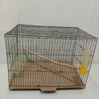 قفس طوطی مرغ عشق