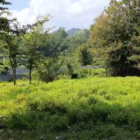 200متر-مسکونی-ویوی-جنگلی
