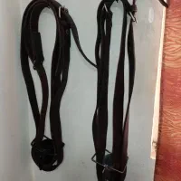 هیکلی علامت و علم