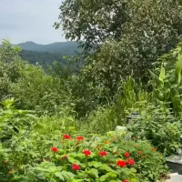 زمین مسکونی