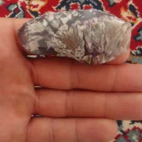 سنگ شجر خزه‌ای