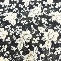 پادری|پادری|زنجان, |دیوار