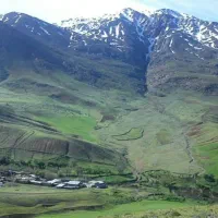 عسل صددرصدطبیعی دالاخانی کرمانشاه