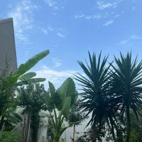۴۰۰۰مترزمین جاده به ساحل آماده برای مشارکت طلاخالص