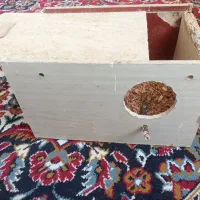 لانه عروس هلندی و پوشال نو