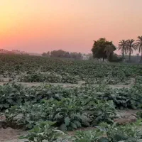 فروش زمین مسکونی