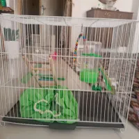 قفس نوه با لوزم