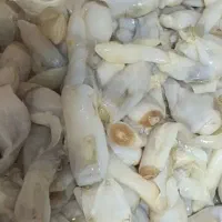 ملوک صدف استوانه