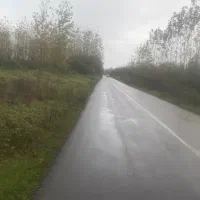 8000متر-زمین-باغی-بر-جاده-اصلی