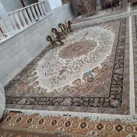 قالیشویی عامو  در منزل بدون جابه جایی