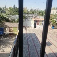 استخدام دو نیروی خدماتی