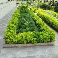 خدمات باغبانی در سراسر فردیس