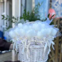 دیزاین رز|گل مصنوعی|کوهدشت, |دیوار