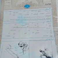 زمینهای-250متری-سند-سیم-سرب
