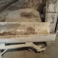 فرغون