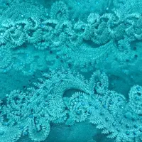 تعدادی وسایل (پارچه.سبد .پرده)