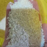 برنج|خوردنی و آشامیدنی|اهواز, شریعتی جنوبی|دیوار