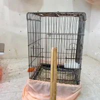 قفس ۱۰۳۳ بزرگ لوازم کامل